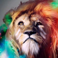 Улан Соорбеков, 09.02.1985, Москва