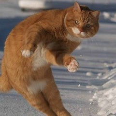 Александр Морозов, 13.11.1991, Москва