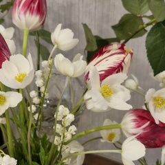 Лилия Мубаракзянова, 04.12