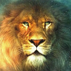 Сергей Egoiste, 04.12