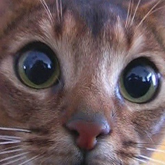 Вадим Мингалиев, Уфа