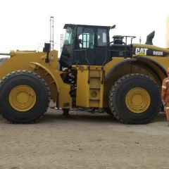 Алтай Сыздыков, Шардара