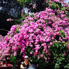 Виктор Пернак, 27.04.1981, Санкт-Петербург