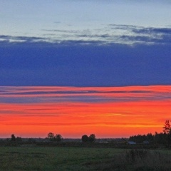 Данил Коротков, Йошкар-Ола
