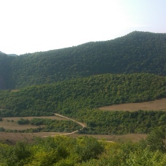 Ибрагим Куруглиев, Санкт-Петербург