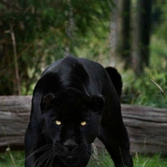 Юлия Крутова, 18.10.1989