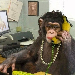 Анна Лукашова, Киев