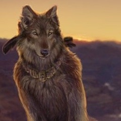 Виталий Коньков, 27.06, Москва