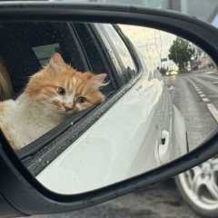 Данил Дёмин, 09.11.1990, Новосибирск