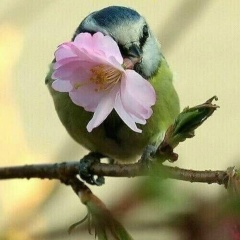 Валерий Пархоменко, 15.10, Змиев