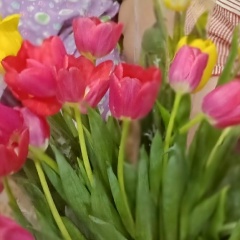 Алла Молоток, 06.09, Полоцк