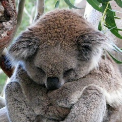 Михаил Носов, 22.05, Москва