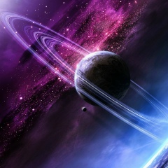 Николай Павлов, Санкт-Петербург