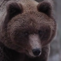 Мишаня Ахламонов, 30.09.1982, Санкт-Петербург