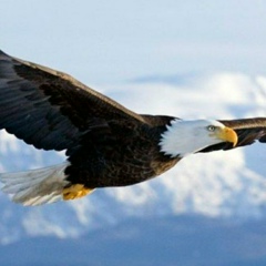 Анна Суслина, 05.02, Санкт-Петербург