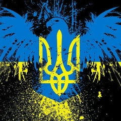 Илья Шевченко, 29.05.1995, Днепр (Днепропетровск)