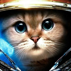 Evgeny Zotov, Санкт-Петербург