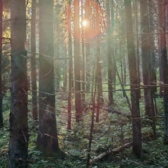 Дарья Трипака, 13.12.1981, Москва