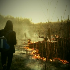Камбаров Артур, 02.03, Ростов-на-Дону