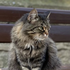 Анастасия Москаленко, 17.07.1986, Киев