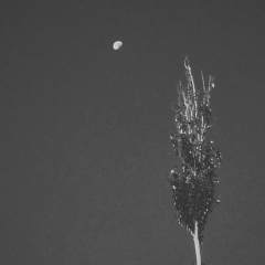 Abdulla Kasymov, 28.02, Бишкек