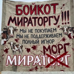 Миша Коваленко, 01.12, Всеволожск