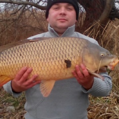 Николай , 10.08.1981, Одесса