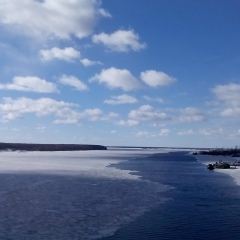 Ангелина Кошкина, 20.11, Daegu