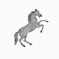 Самат Алишер, 31.10.1994, Шымкент