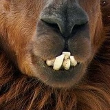 Екатерина Кирякова