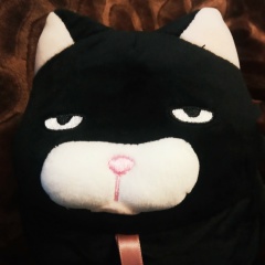 Анастасия Панченко, Макеевка