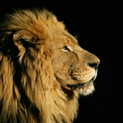 Ахмедьяров Данияр, 05.06, Астана