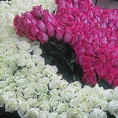 Мариям Гамидова, 08.03, Махачкала