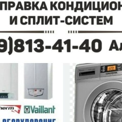 Вася Пуркин