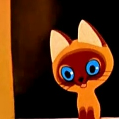 Anastasia Gudkova, 24.05, Санкт-Петербург