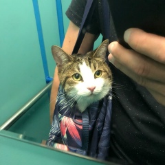 Константин Костян, 16.10.1985, Санкт-Петербург