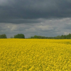 Юра Макиенко, 26.10