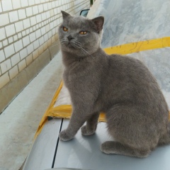 Гульжок Кенж, 03.02.1987, Уральск