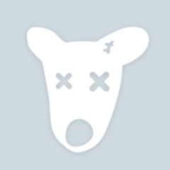 Некто Перфекто, Ростов-на-Дону