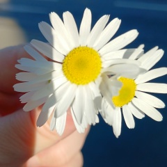 Залина Бекишева, 06.03, Москва