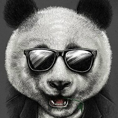 Вася Рафальський, 23.11