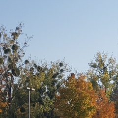 Евгений Парфёнов, 08.12, Харьков