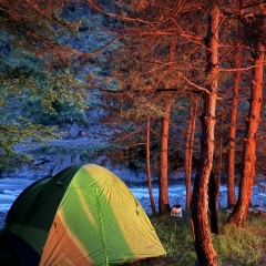 Рашид Абсаламов, 28.09, Махачкала