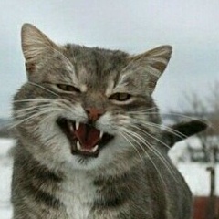 Turpal Betmerzayev, 02.12.1997, Магнитогорск