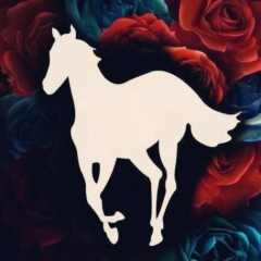 Антон Княжевич, 01.09.1982, Москва