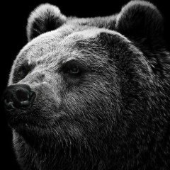 Иван Чистяков, 06.02, Москва