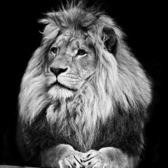 Алексей Иванов, 25.06, Нелидово