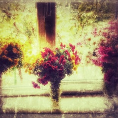 Александра Смирнова, 21.04.1998, Мариуполь