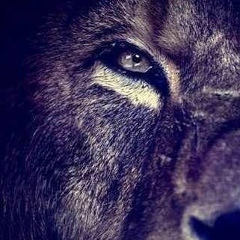 Nurzhan Janabaev, 10.08, Тараз