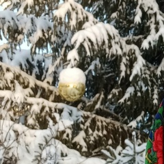 Елена Полетаева, 20.02.1985, Всеволожск